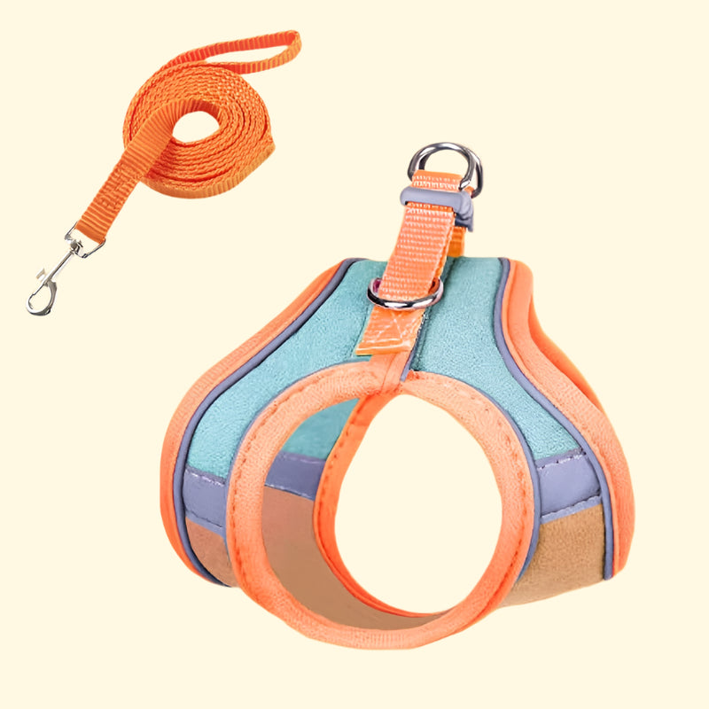 Arnés de paseo para gatos con correa