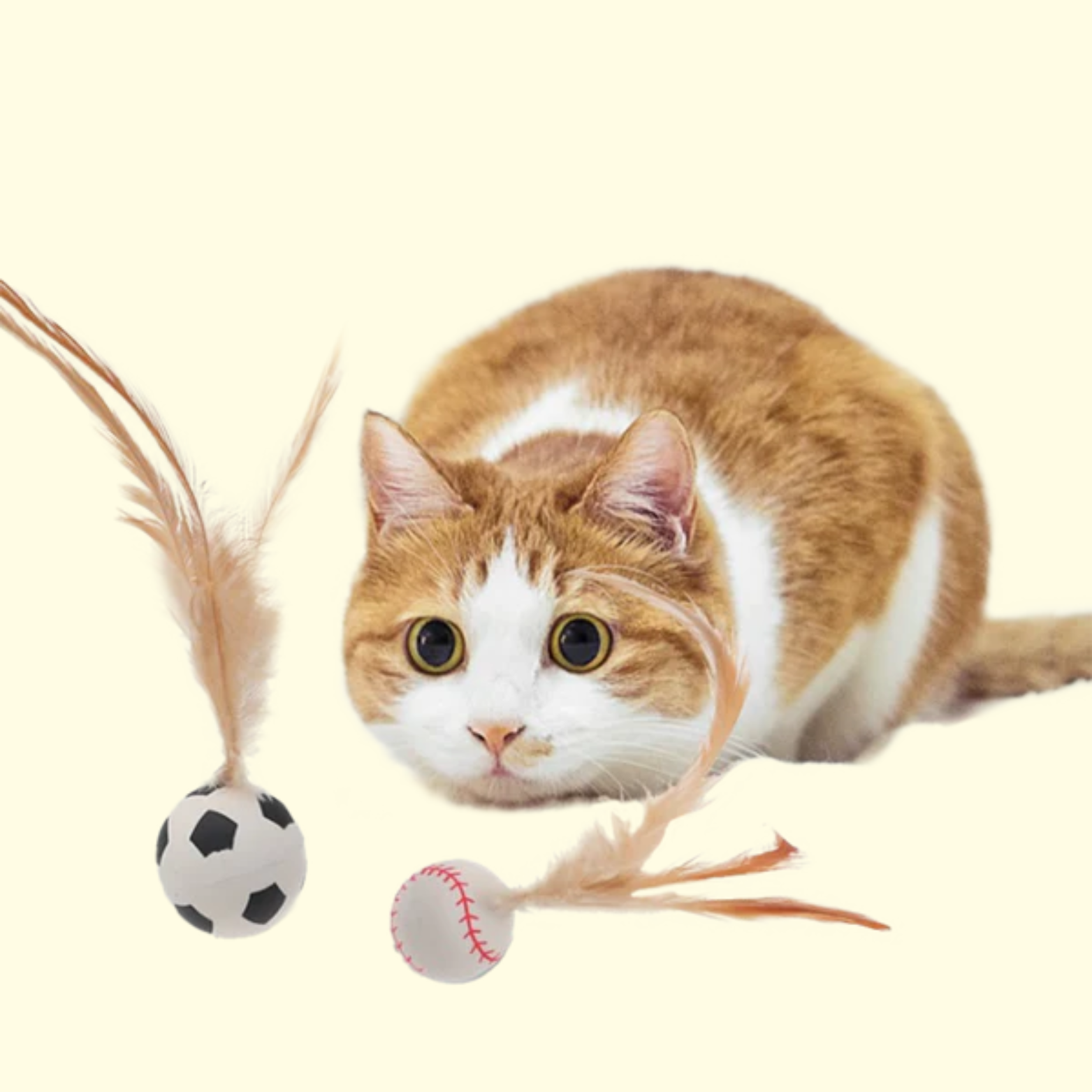 Palla di piume gonfiabile