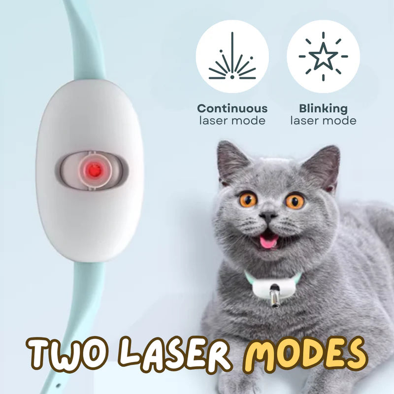 Collare laser per gatti