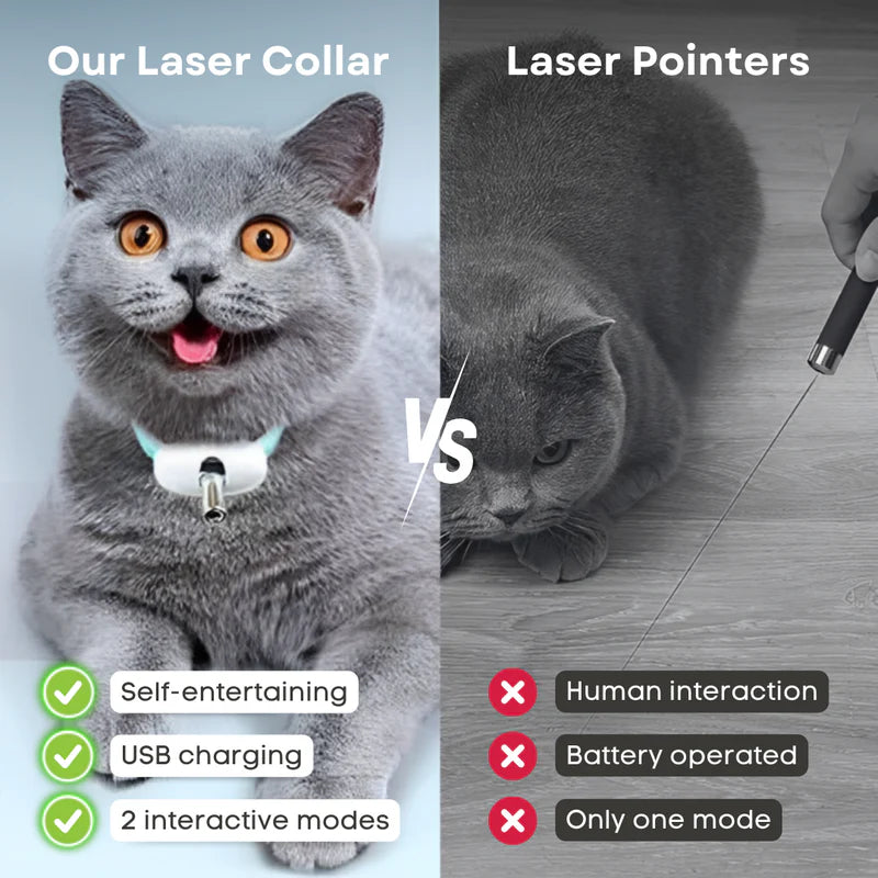 Collare laser per gatti