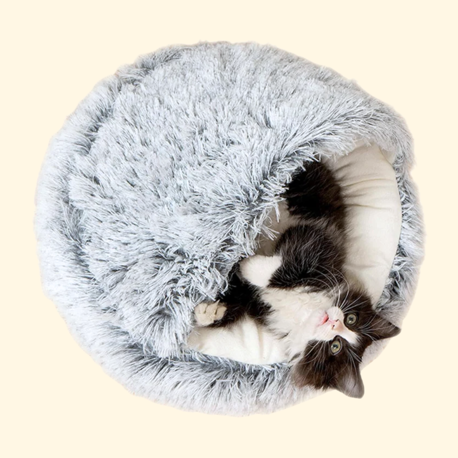 Cama Concha Acogedora