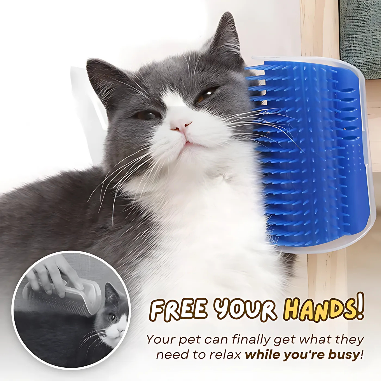 Coin de Toilettage pour Chats