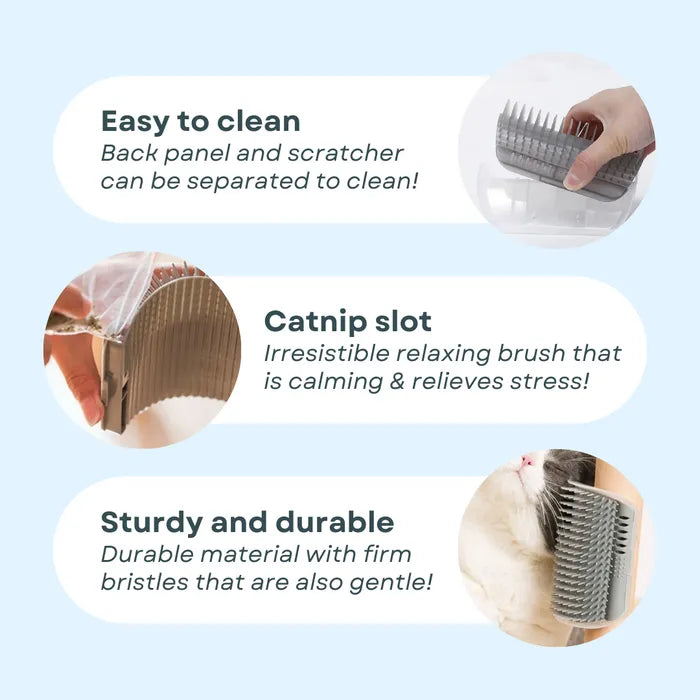 Coin de Toilettage pour Chats