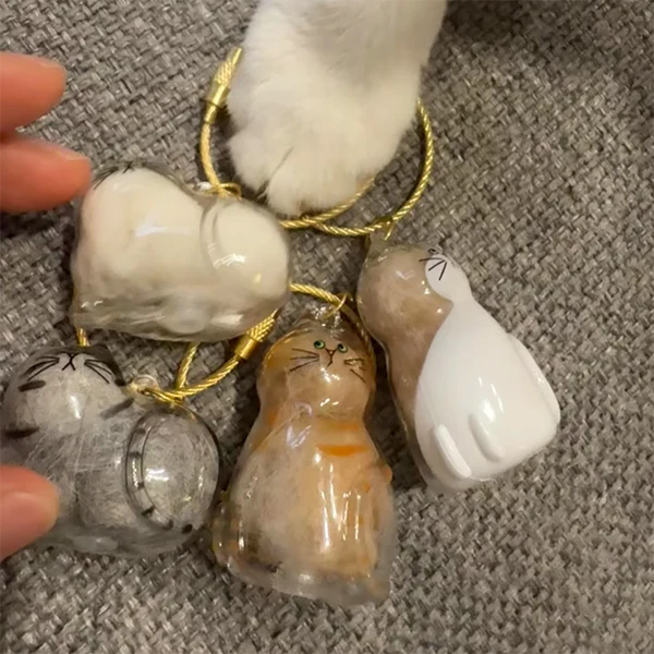 Cápsula Recuerdo para Gatos