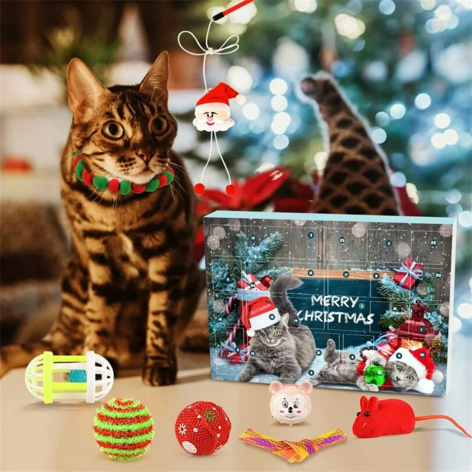 Christmas Cat Calendar
