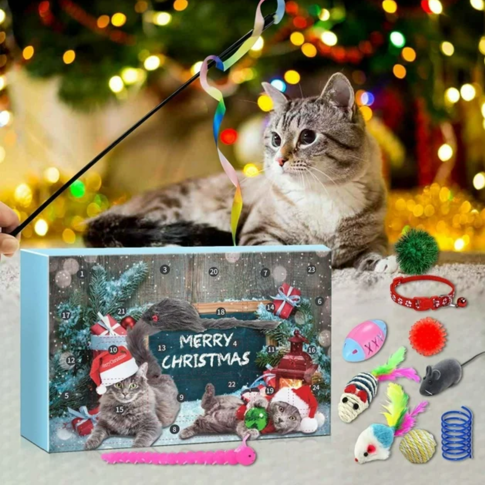 Christmas Cat Calendar