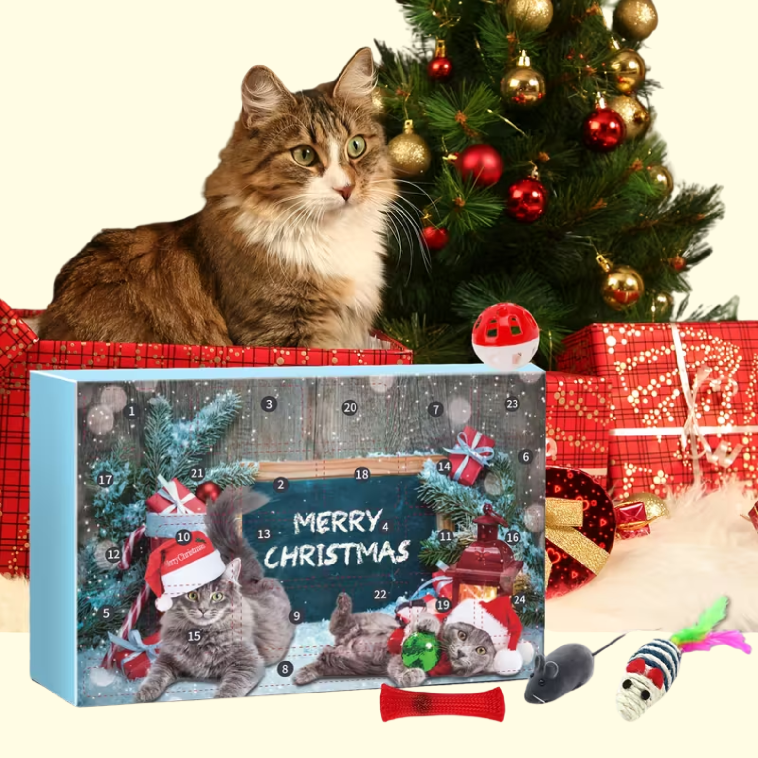 Christmas Cat Calendar