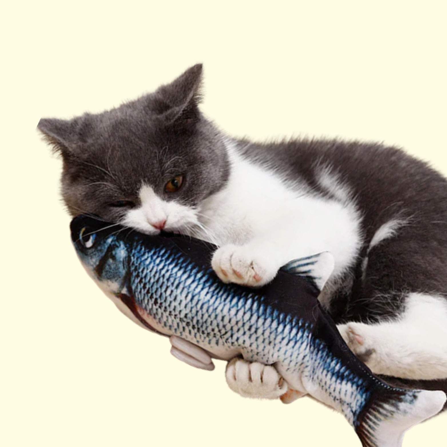 Juguete interactivo para peces