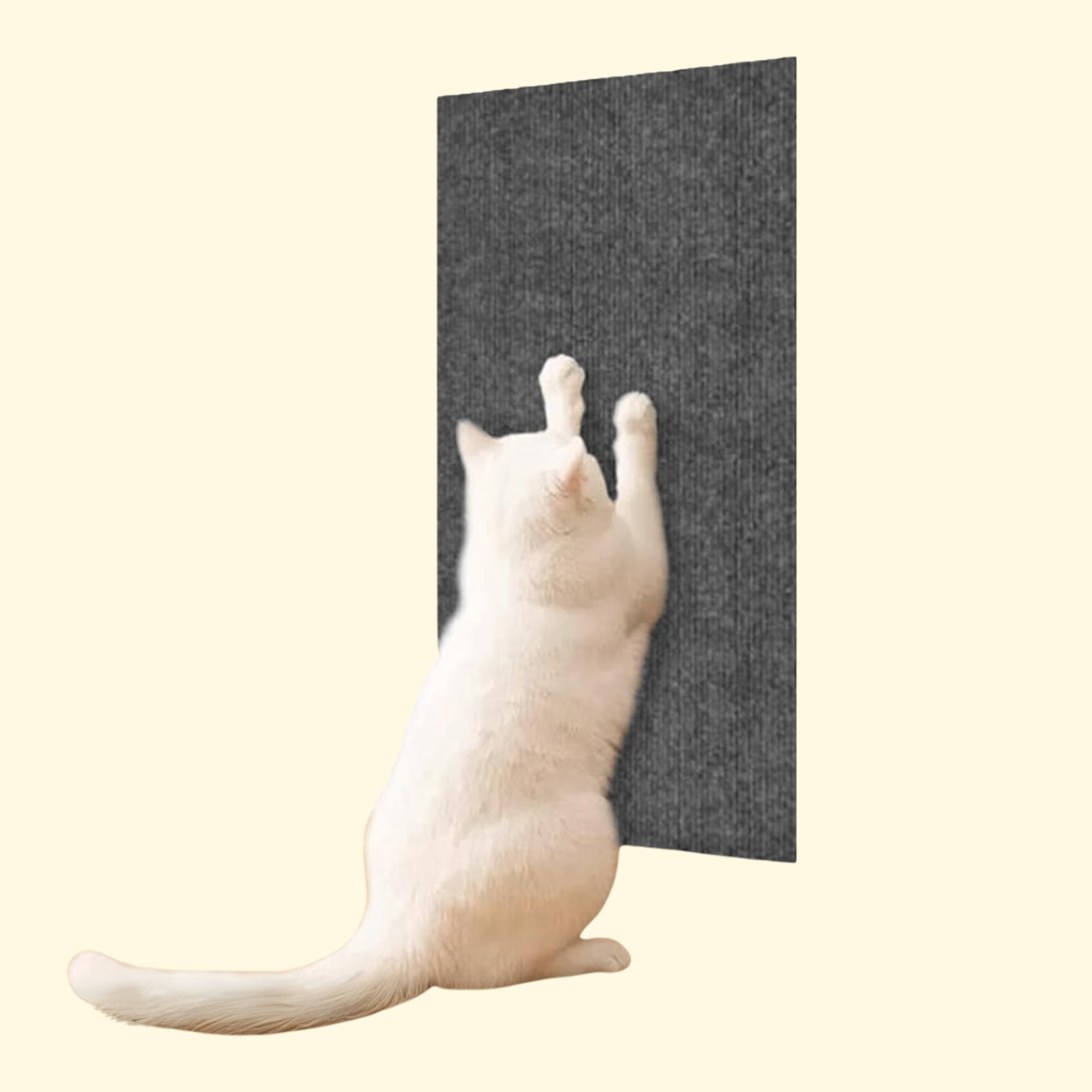 Funda protectora contra arañazos