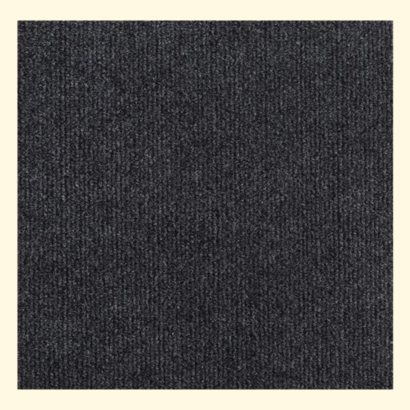 Funda protectora contra arañazos