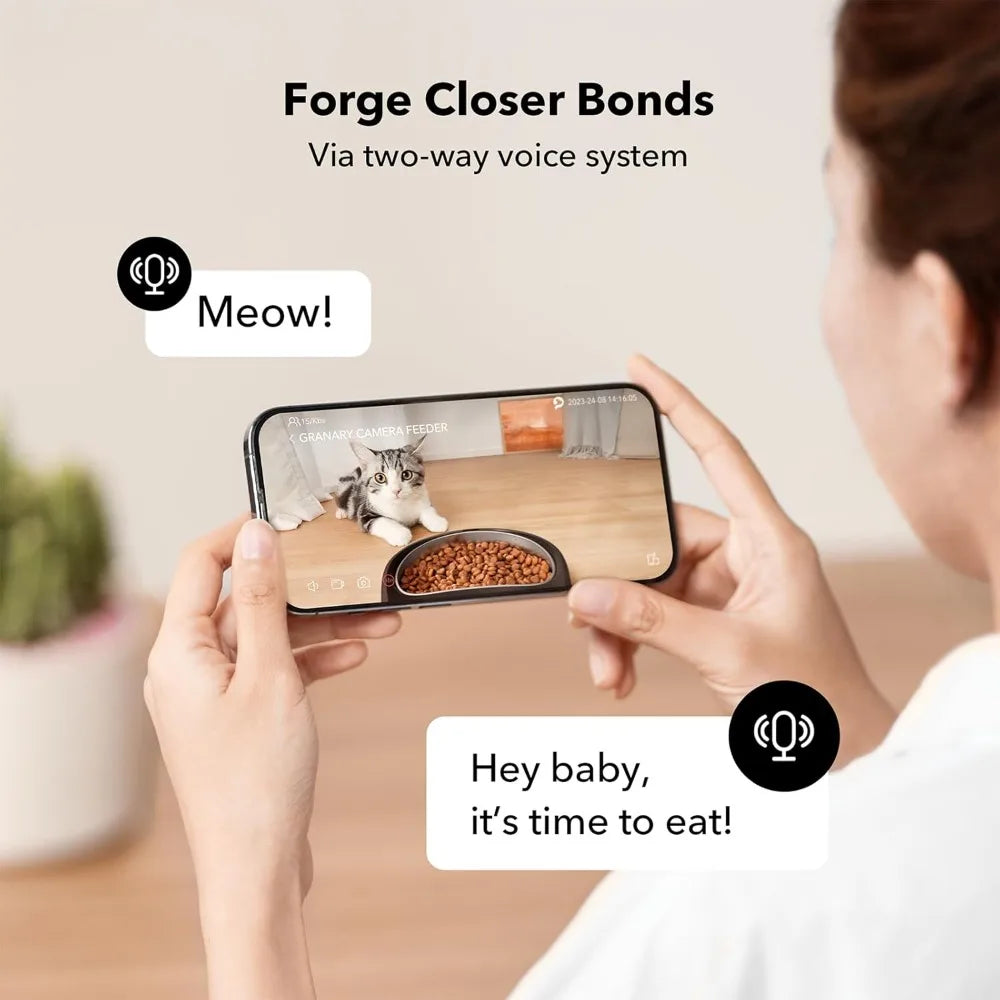 Comedero automático para gatos con cámara