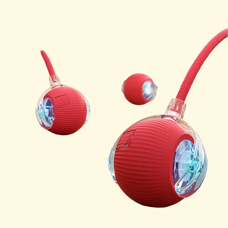 Juguete rodante para mascotas