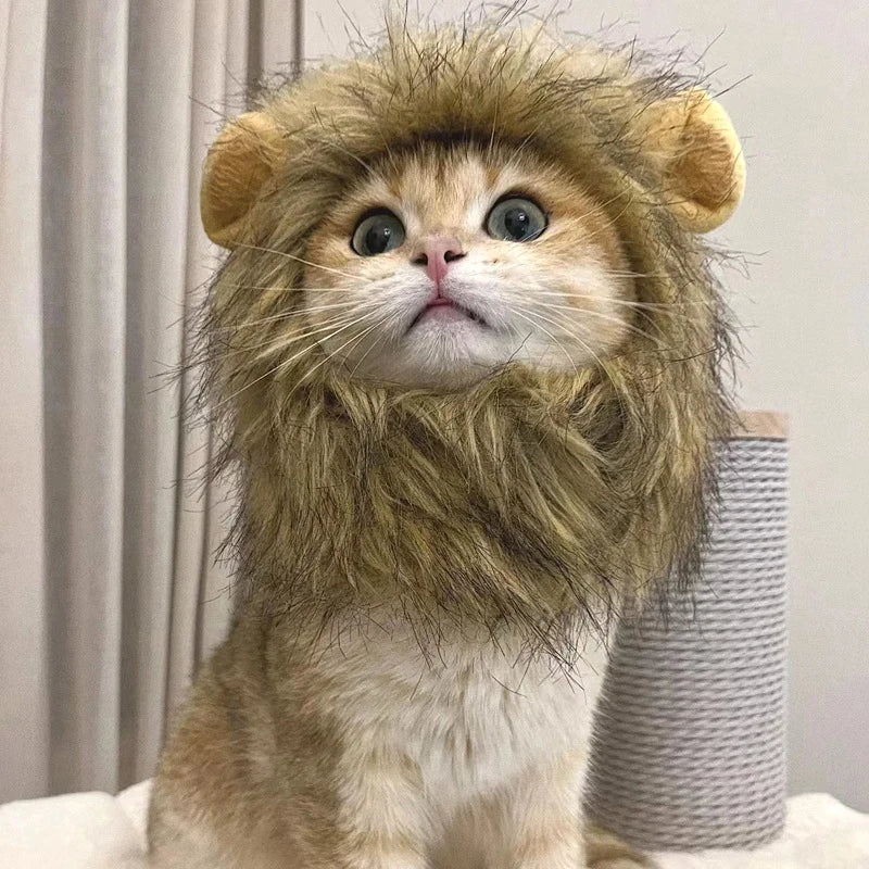 Disfraz de Gato León
