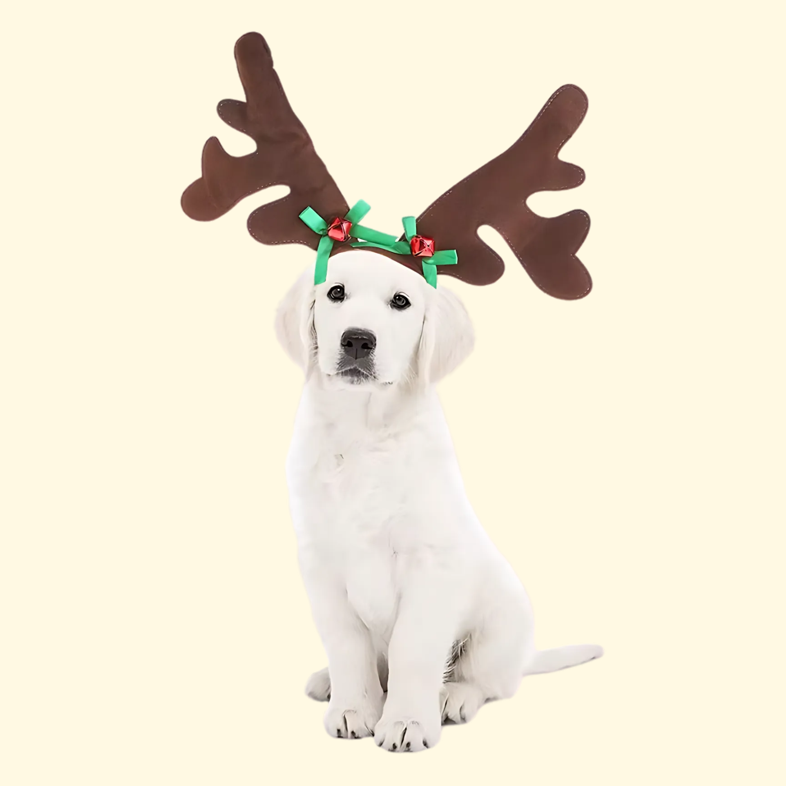 Bandeau de Noël pour animaux de compagnie