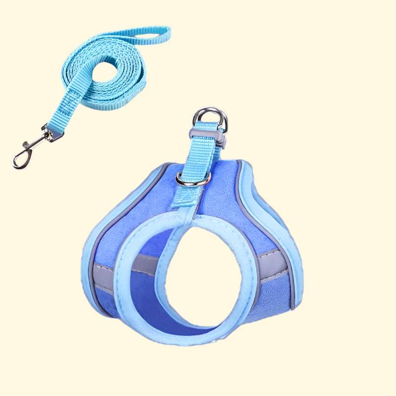 Arnés de paseo para gatos con correa