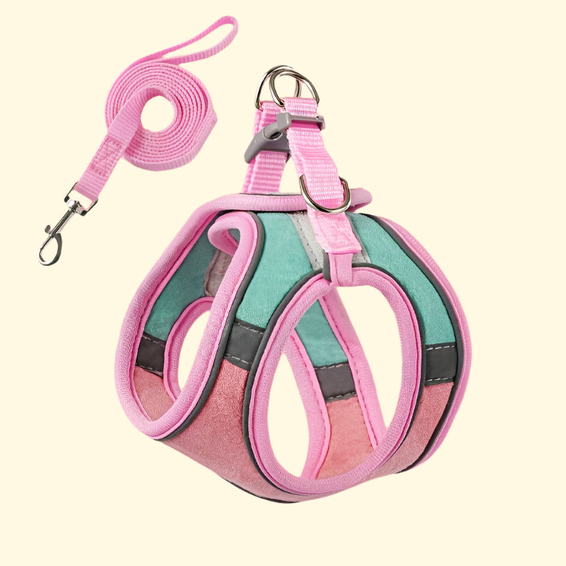 Arnés de paseo para gatos con correa