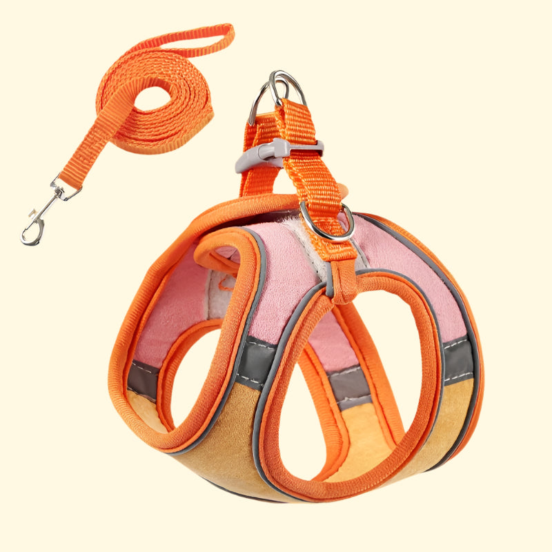 Arnés de paseo para gatos con correa