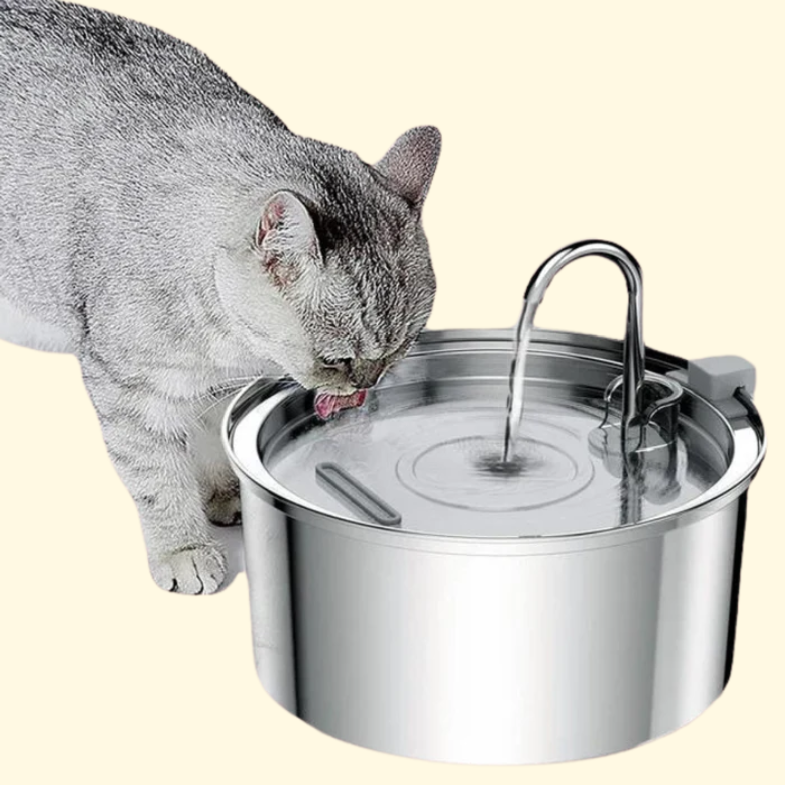 Mega fuente de acero inoxidable