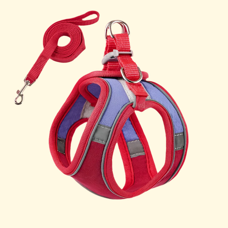 Arnés de paseo para gatos con correa