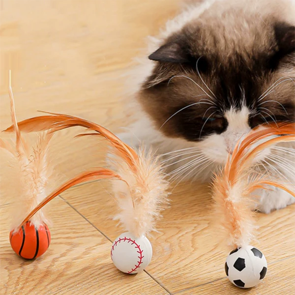 Pelota Saltarina con Plumas