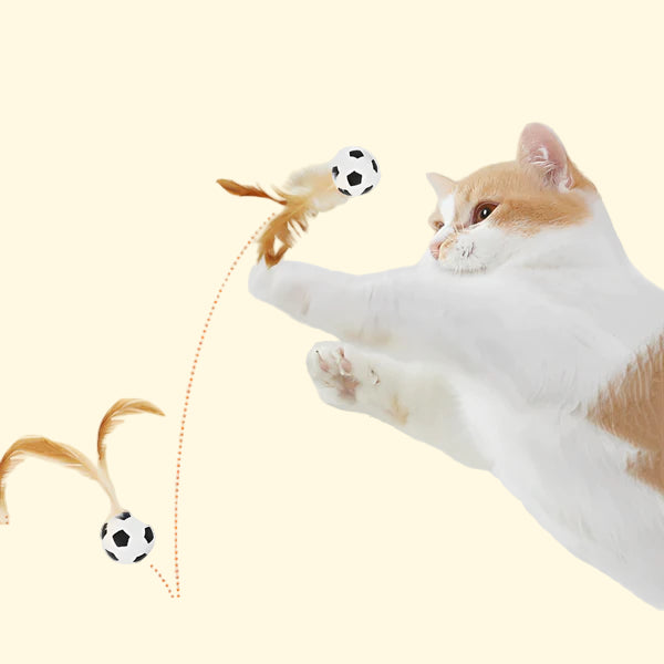 Pelota Saltarina con Plumas