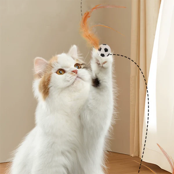 Pelota Saltarina con Plumas