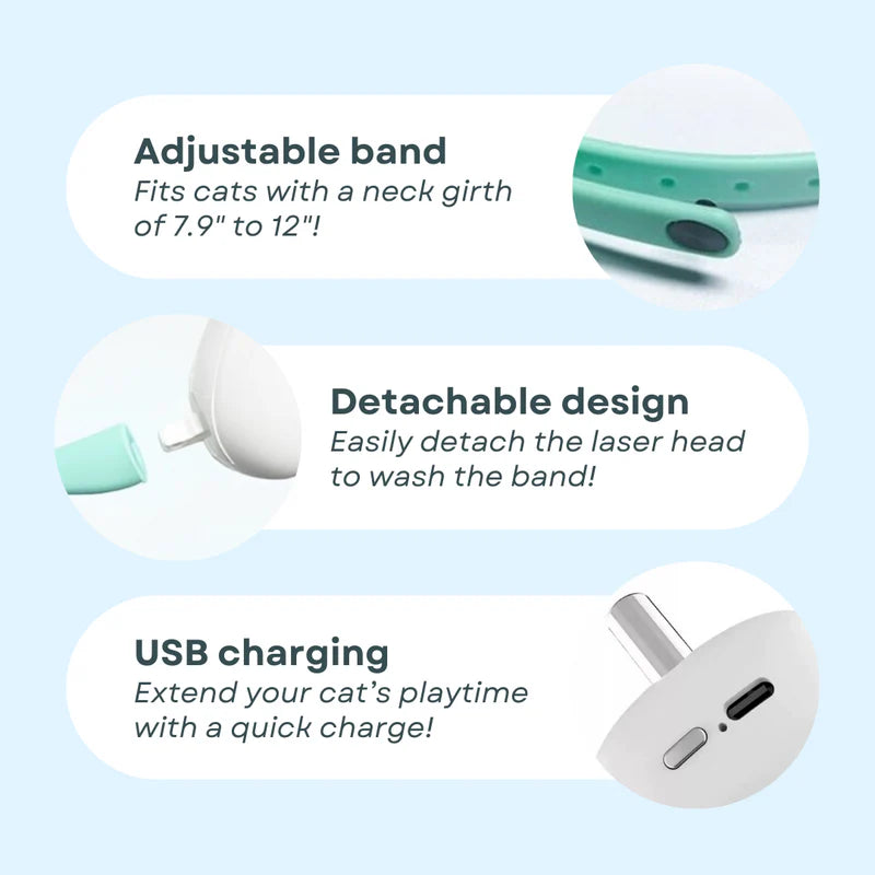 Collar láser para gatos