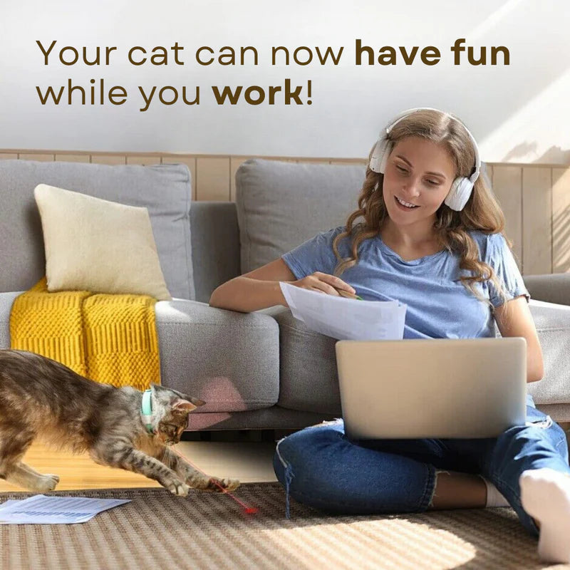 Collar láser para gatos