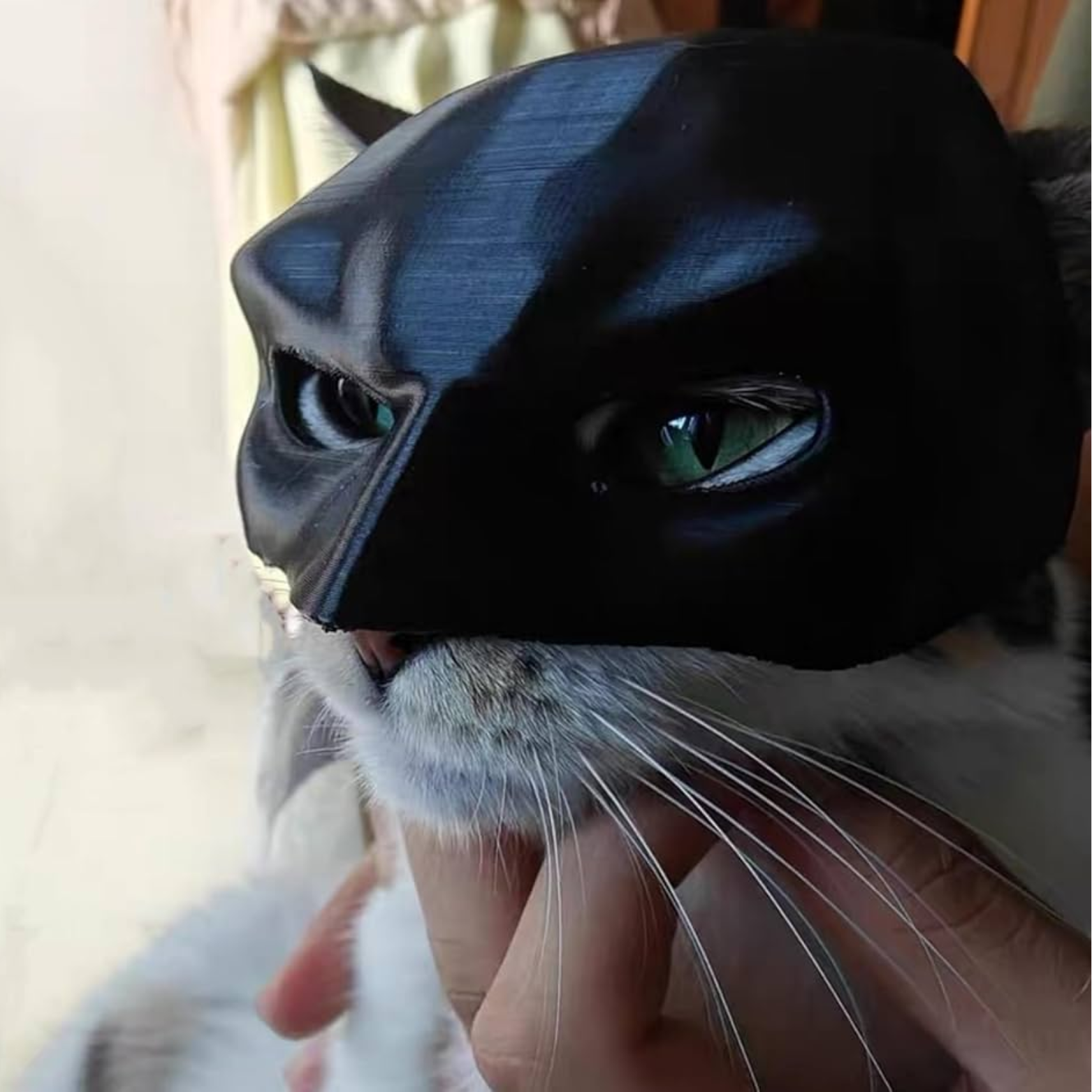 La máscara de gato murciélago