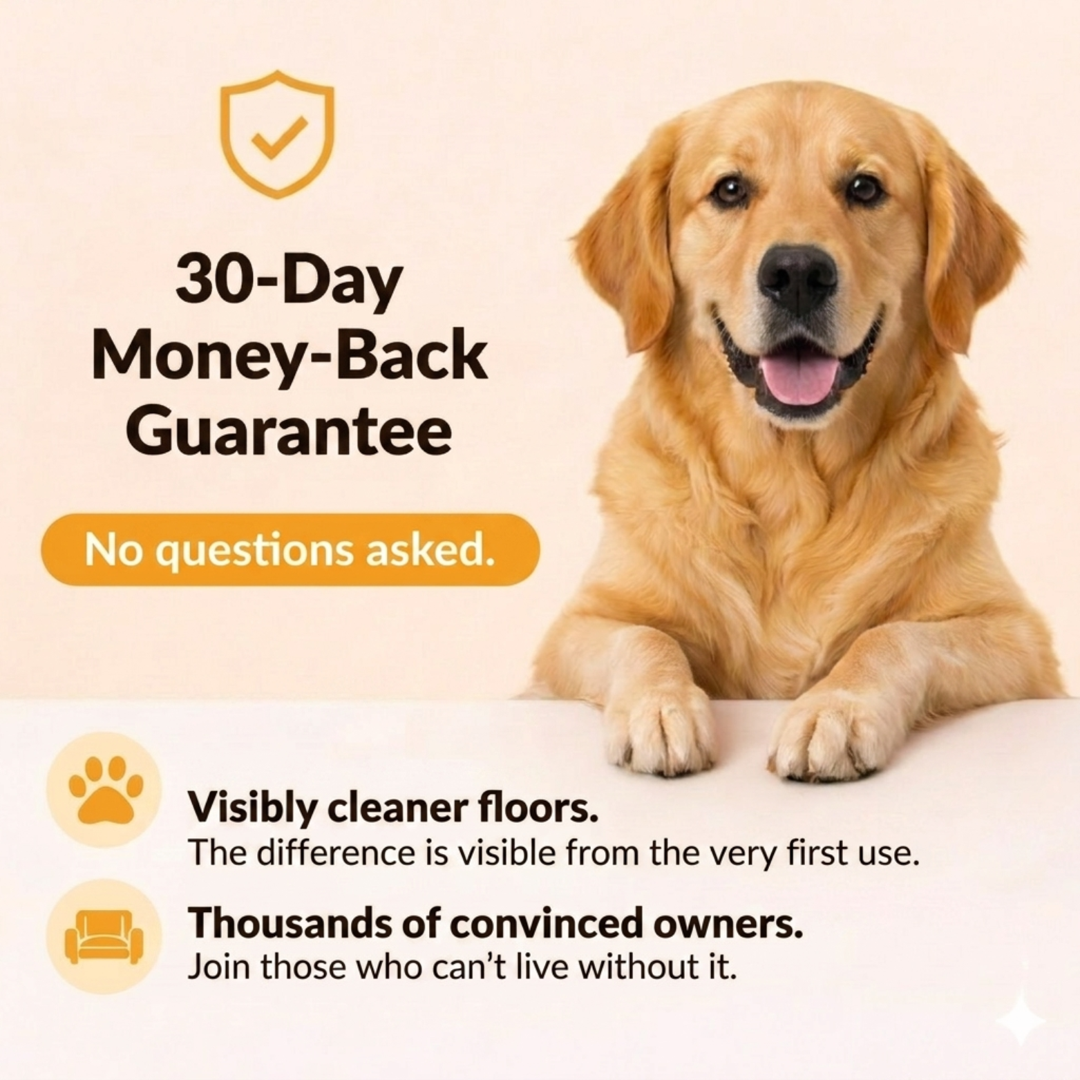 CleanPaws Mat