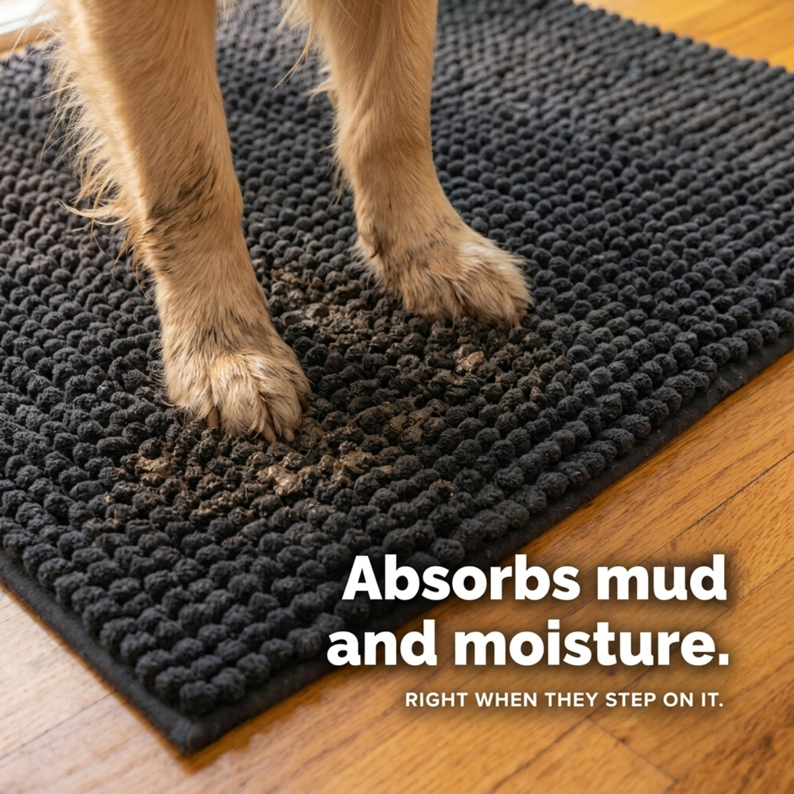 CleanPaws Mat