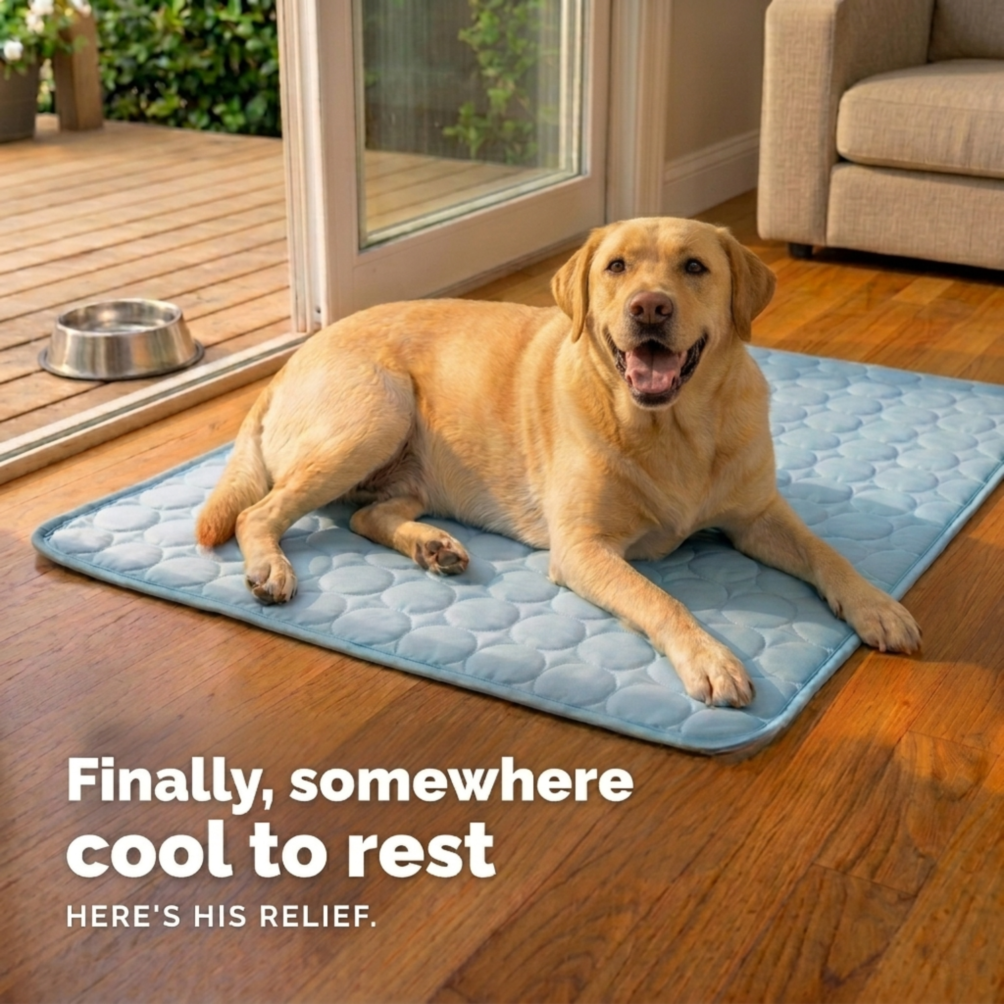 Kühlmatte für Hunde