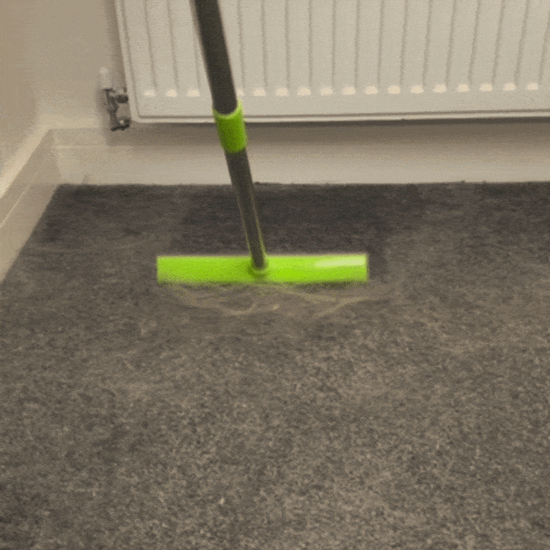 Dog Hair Removal Broom