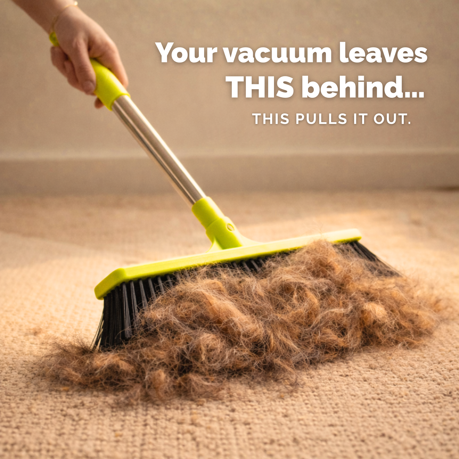 Dog Hair Removal Broom