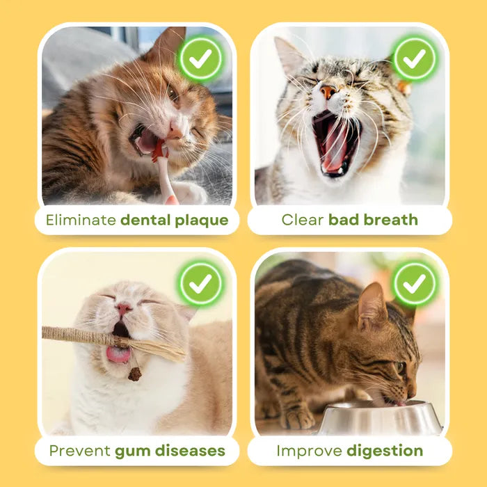 Juguete de Dentición Natural