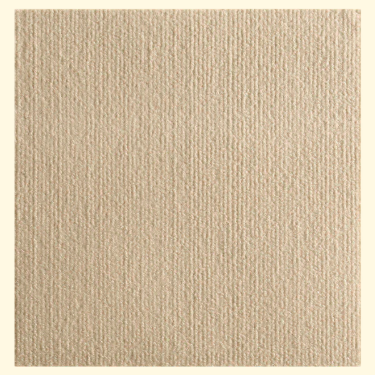 Funda protectora contra arañazos