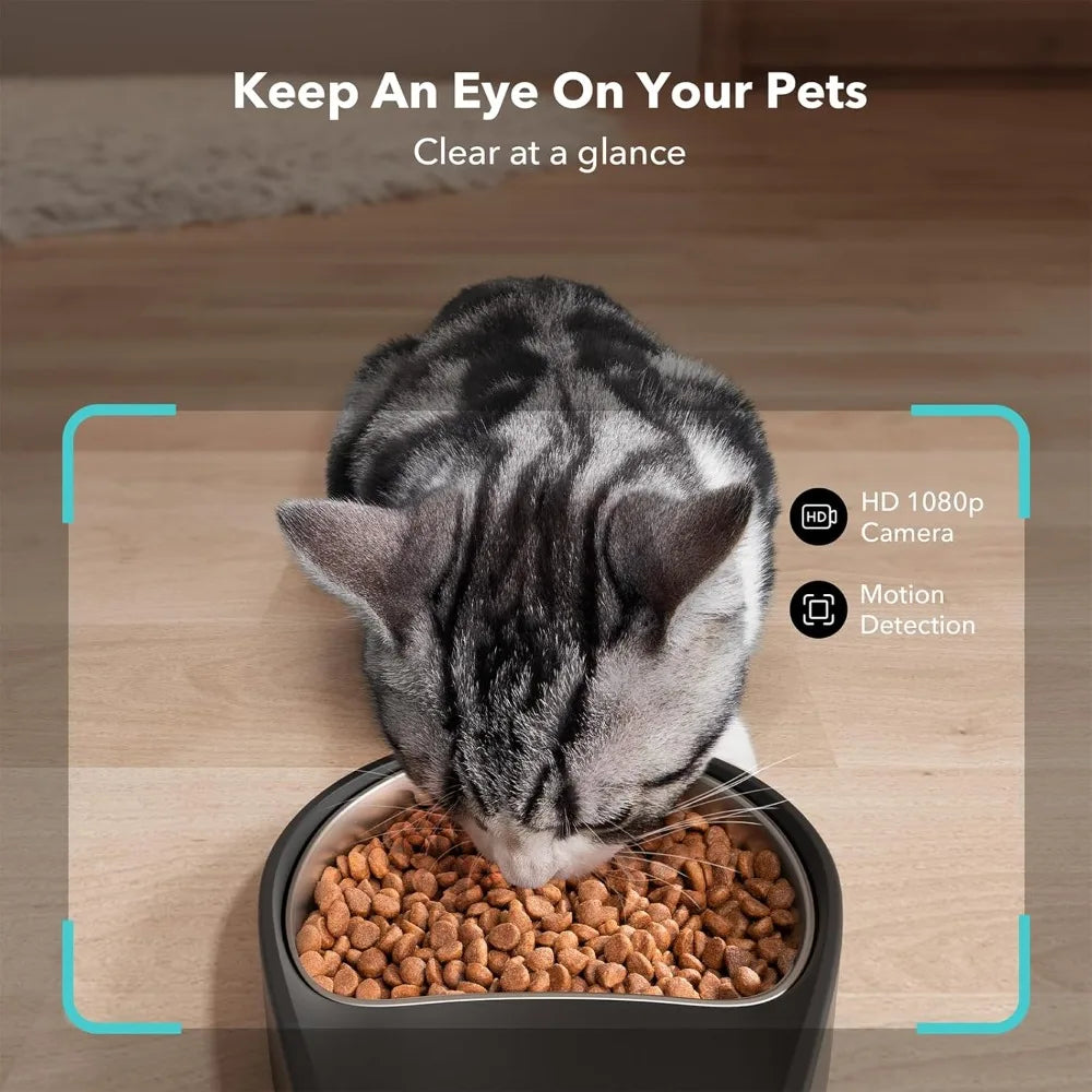 Comedero automático para gatos con cámara