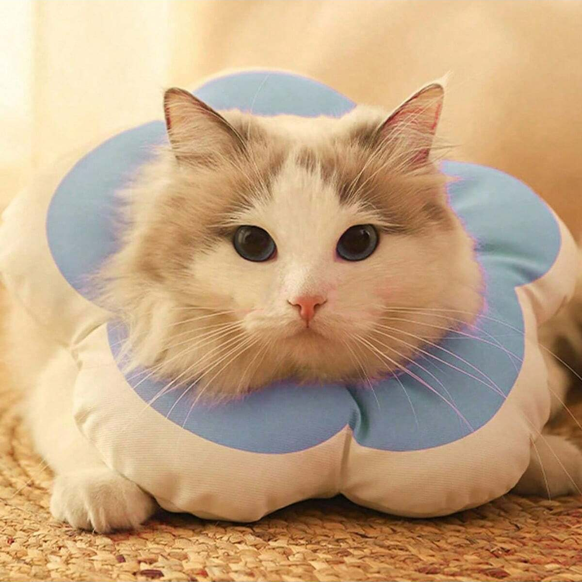 Cono di recupero per fiori